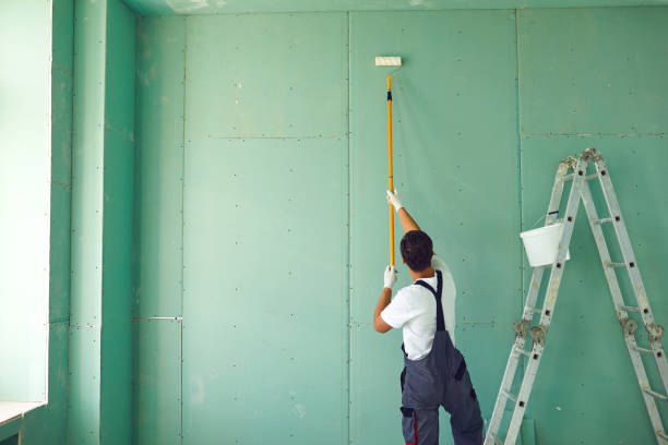 Professional Mold Removal in Saylorsburg, PA